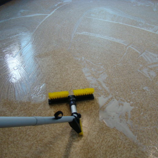 Complete Detailed Cleaning