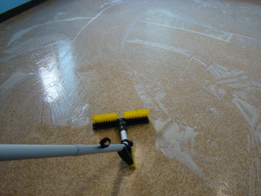 Complete Detailed Cleaning